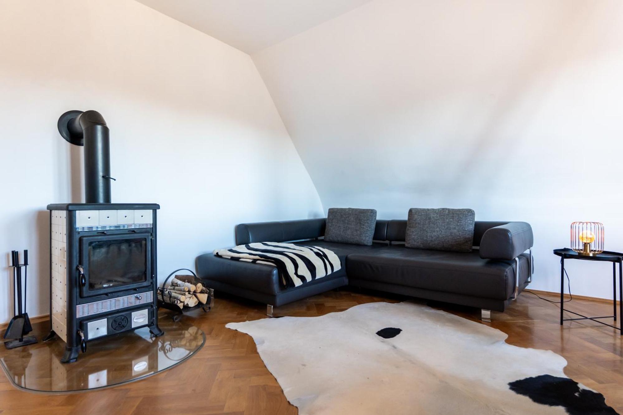 Doppelhaus- Villa Leipzig Schleussig , Moderner Altbau Apartment Dachetage Mit 2 Schlafzimmern Und Separatem Zusatzzimmer , Parkplatz - Balkon - Kamin - Eicheparkett - Arbeitsplatz Zewnętrze zdjęcie